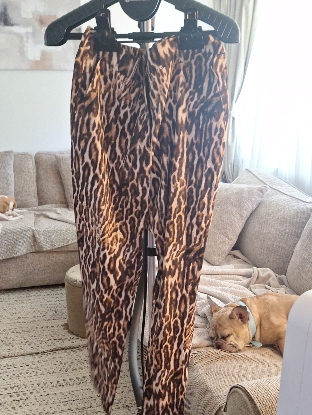 Isaac Mizrahi Brown Leopard-Print Asymmetrical Pants